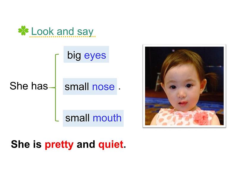 五年级上册英语课件-Unit2 She looks cute(Lesson7) |人教精通版 (共19张PPT)03