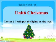 五年级上册英语课件-Unit6 Lesson 2 I will put the lights on the tree 鲁科版（五四学制）（三起）(共11张PPT)