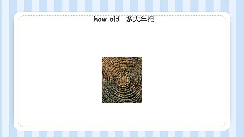 UNIT THREE I WAS BORN ON MAY 23RD Lesson 11-12(课件) 北京版英语三年级上册03