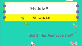 英语三年级下册Unit 2  Has Amy got a bike?作业课件ppt