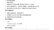 北师大版 (一年级起点)三年级上册Unit 3 Uncle Booky's study学案设计