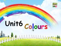 英语Unit 6 Colours课堂教学课件ppt