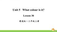 小学英语人教精通版三年级上册Unit 5 What colour is it?Lesson 30 Revision教学演示ppt课件