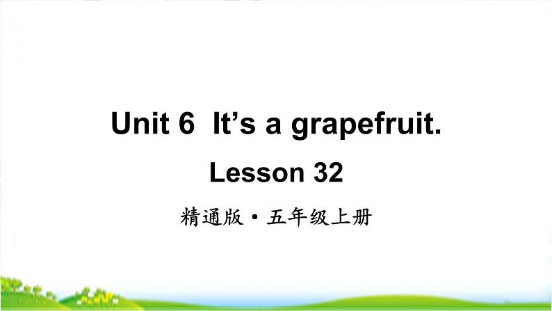 人教精通版五年级上学期Lesson32教学课件01