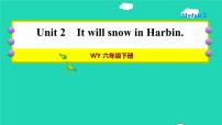 外研版 (三年级起点)六年级下册Unit 2  It will snow in Harbin作业课件ppt