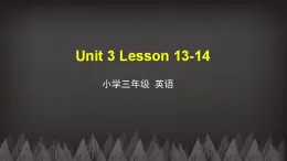 三年级下册英语课件-Unit3 This is my father Lesson13-14 人教精通版