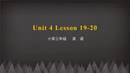 三年级下册英语课件-Unit4 Do you like candy Lesson 19-20 人教精通版