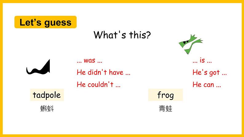 Module 1 Unit 2 She didn't have a television.(课件)外研版(三起点)五年级英语下册03