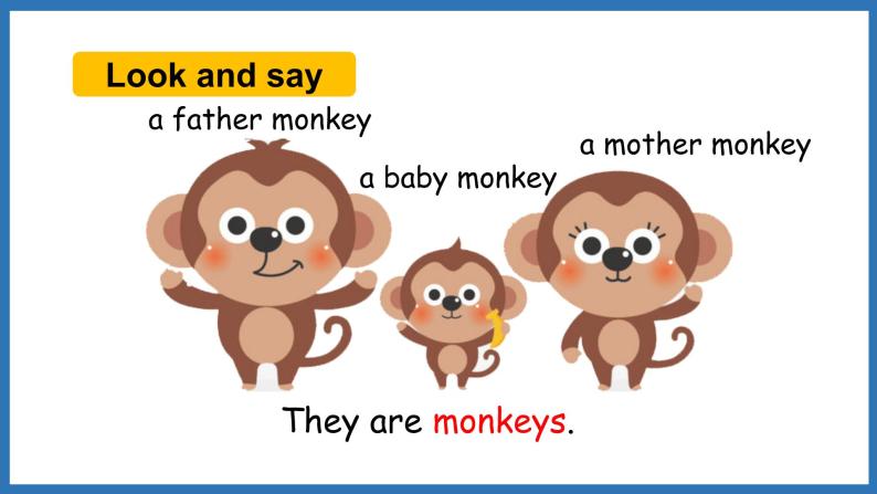 Module 2 Unit 1 They’re monkeys.（课件）外研版（三起点）三年级英语下册05
