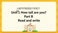 英语六年级下册Unit 1 How tall are you? Part B优秀ppt课件