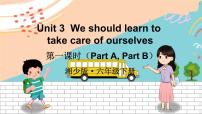 湘少版六年级下册Unit 3 We should learn to take care of ourselves说课ppt课件