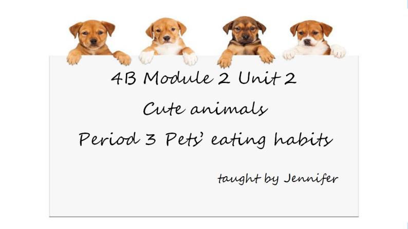 四年级下册英语课件Module 2   Unit 2 Cute animals  Period 3牛津上海版（试用本）02