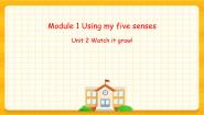 小学英语牛津上海版五年级下册Unit 2 Watch it grow！精品ppt课件
