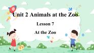 小学英语冀教版 (三年级起点)三年级下册Lesson 7 At the Zoo优质课件ppt