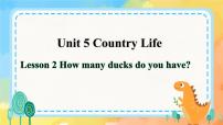 鲁科版 (五四制)五年级下册Lesson 2 How many ducks do you have?精品ppt课件