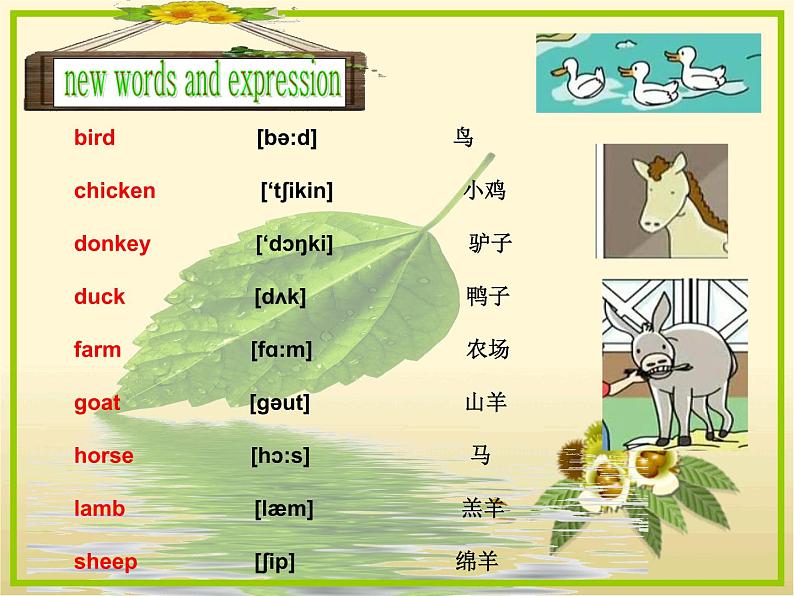 新概念英语青少版入门 B_Unit_6(共12页)课件PPT第2页