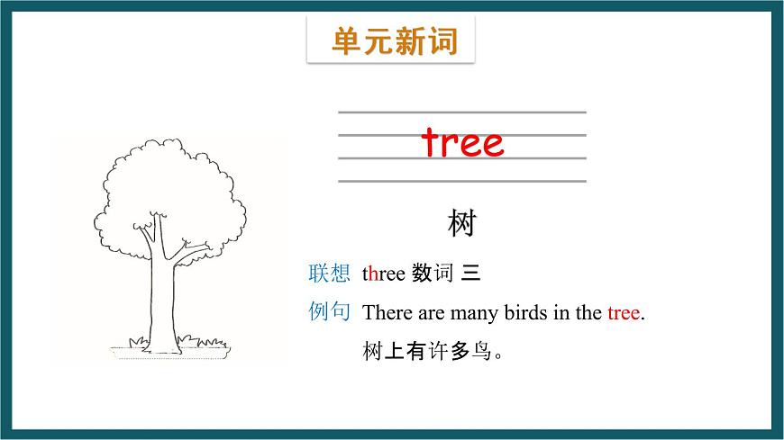 Module 3 Unit 2（課件）外研版（一起）英語一年級下冊第3頁