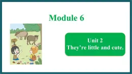 Module 6 Unit 2（课件）外研版（一起）英语一年级下册