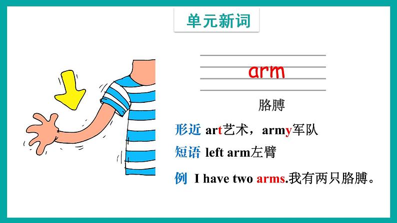Module 6 Unit 1(课件)外研版(一起)英语三年级下册05
