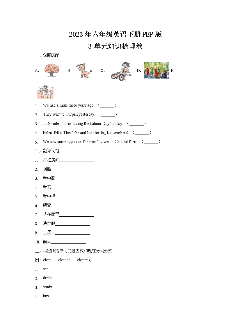 【寒假自学课】人教PEP版英语六年级下册 第3单元-知识梳理卷（含答案）