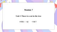 英语Review ModuleUnit 1一等奖习题课件ppt