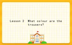 Lesson 2  What colour are the trousers？课件