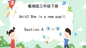 小学湘鲁版Section A完美版ppt课件