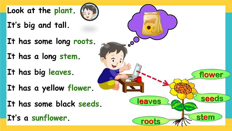 Unit 10 My garden 第2课时(课件)第2页