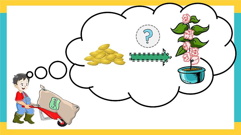 Unit 10 My garden 第2课时(课件)第4页