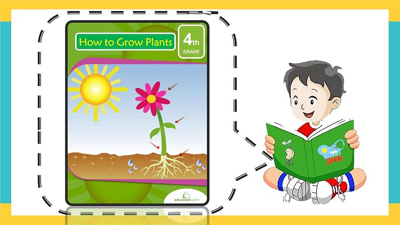 Unit 10 My garden 第2课时(课件)第5页