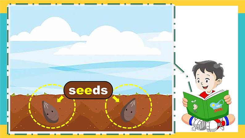 Unit 10 My garden 第2课时(课件)第6页