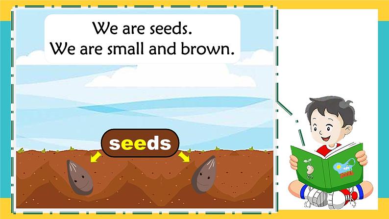 Unit 10 My garden 第2课时(课件)第7页