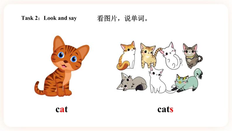 Module 6 Pets Unit 11 They're lovely （第1课时 ）课件+教案+习题（含答案）+素材05