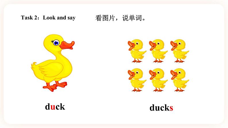 Module 6 Pets Unit 11 They're lovely(第2课时 )课件+教案+习题(含答案)+素材07
