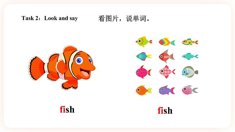 Module 6 Pets Unit 11 They're lovely(第2课时 )课件+教案+习题(含答案)+素材08