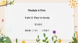Module 6 Pets Unit 11 They're lovely （第3課時 ）課件+教案+習(xí)題（含答案）+素材