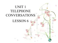 UNIT 1 TELEPHONE CONVERSATIONS LESSON 6课件PPT