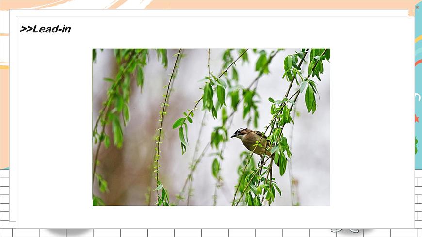 譯林版英語一年級下冊 Unit4 Spring 第1課時教學PPT課件第3頁