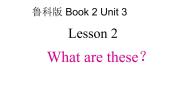 小学英语鲁科版 (五四制)三年级下册Lesson 2 What are these?说课ppt课件