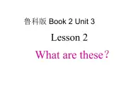 课件-Unit 3 Animals Lesson 2 What are these教案