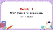 小学英语外研版 (三年级起点)六年级下册Unit 1 I want a hot dog,please.优秀ppt课件