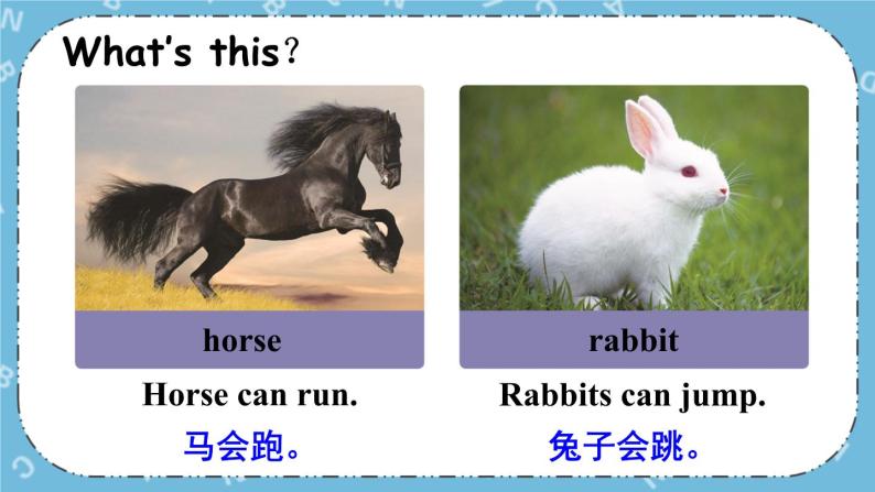 Lesson 4 Horses and Rabbits课件+教案+素材07