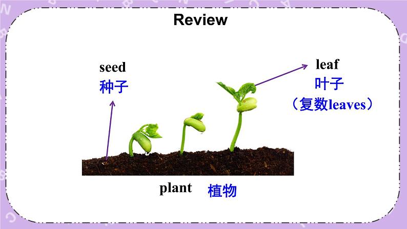 Project 4 课件第2页