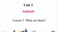 英语鲁科版 (五四制)Lesson 2 What are these?完美版课文课件ppt