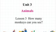 小学英语鲁科版 (五四制)三年级下册Lesson 3 How many monkeys can you see?优秀课文课件ppt