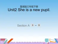 湘魯版英語三下 Unit2第2課時課件+教案