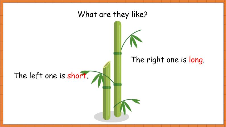 Unit 1 How tall are you A Let's learn 课件+教案+学案06