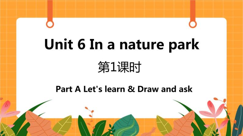 Unit 6 第1课时 A Let's learn& Draw and ask 课件+教案+素材01