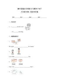 人教PEP版英语六年级下册期中专题精练学案——专题03 句子（含答案）