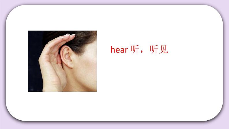 Unit 1 Spring is here Lesson3(2) 课件 北京版英语三下第4页